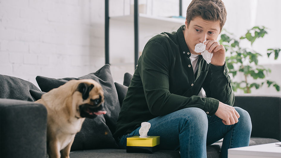 Getting an air purifier is one of the top approaches to boost your home’s indoor air quality. Discover more about the three best products. 